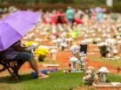 Zumbi, Finados e Proclamação: confira feriados nacionais de novembro